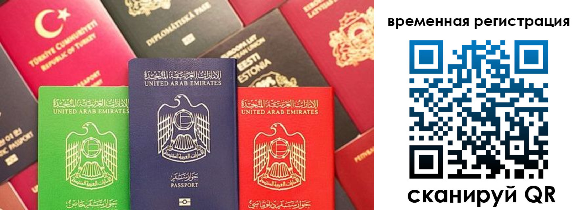 временная регистрация гарантия в Вольске